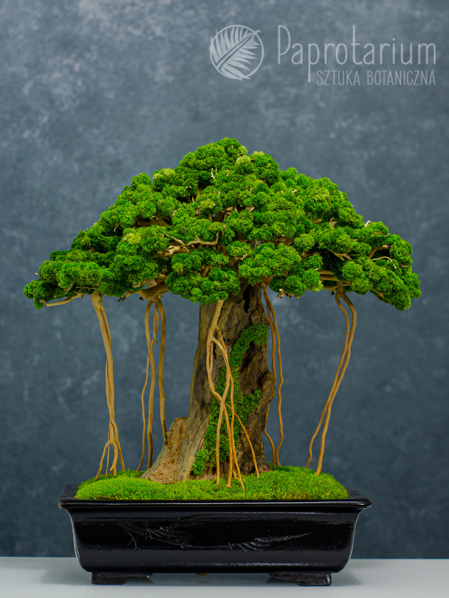 Artificial bonsai tree with lianas